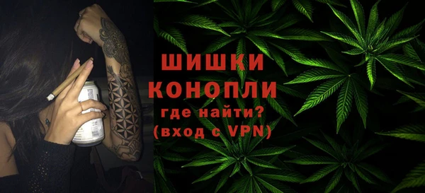 сатива Лагань
