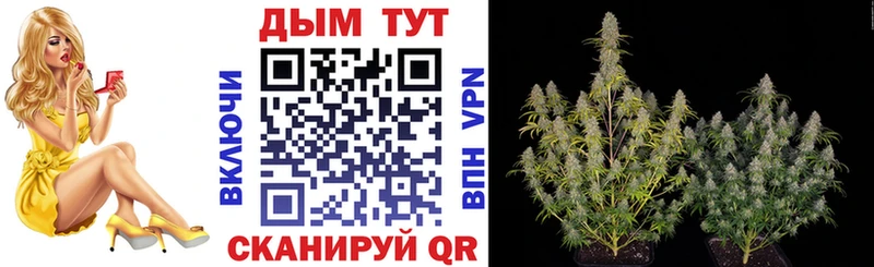 Купить закладки  Бавлы  Бошки Шишки индика 
